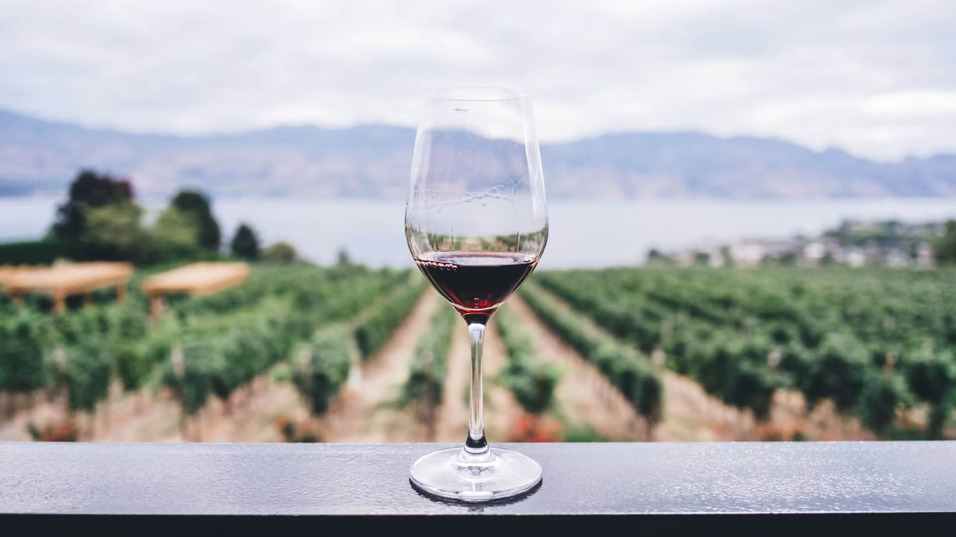 Copa de vino tinto sobre una barandilla con viñedos y un lago al fondo